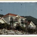 알토란 공인중개사사무소 이미지