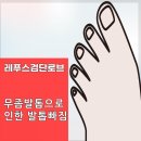 레푸스검단로브