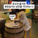 드루와치킨호프 | 7월 끗...