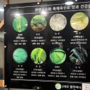 샤브쌈주머니오정점 이미지