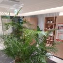 우울증 | 대구심리상담 우울증 상담 후기