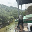 마이홈펜션 | 충북 괴산 쌍곡계곡 깊은 물놀이 스팟 밸리하우스 펜션 평상 대여 재방문 후기