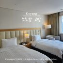 호텔세탁소 | 서울 근교 호텔 추천 소노캄 고양 이스트동 트윈룸 웨스트 슈페리어 스탠다드 가격 비교 할인 후기