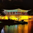 경주 티스토리
