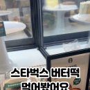 얼리벅스 이미지