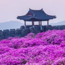 합천군가회면대기보건진료소 | 물씬 오늘의 스타는?ㅣ코미디언 양상국의 경상남도 합천군ㅣ가을바람에 산들산들 황매산 억새 11월 06일