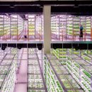 농축농장 이미지