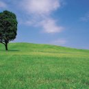 하늘골프연습장 이미지