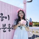 푸른바다랜드