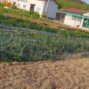 통안경로당 이미지