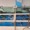 (주)대천종합관리