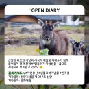 화천 황쏘가리 서식지 이미지
