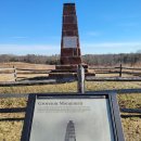 브라우너 이미지