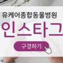 대방동물병원 이미지