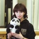 다큐세이브 이미지
