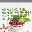 방가김밥 Daum카페