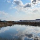 무안황토갯벌랜드 오토캠핑장 이미지