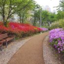 뚝넘어근린공원 이미지