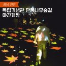 예산초 단풍나무길 | 독립기념관 단풍나무숲길 야간개장 방문 후기 먹거리 정보