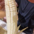 쉼표약국 | 아야진해수욕장 야유회 가기 좋은곳 수정빌딩 에어비앤비 예약 마치고