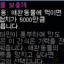 펫키퍼 이미지
