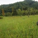 곤명생태학습장 이미지