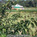 용한공인중개사사무소 이미지