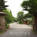 해송 이미지