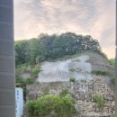파라곤세탁소 이미지