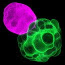 the Fitness LAB 이미지