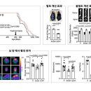 네이처메디 이미지