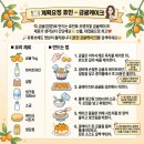 효민1호 | 편스토랑 효민 금귤케이크 레시피 금귤시럽 만들기