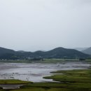 순천만습지 이미지