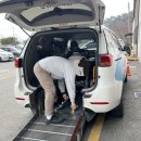 춘천요양병원 | 춘천 요양병원 → 한림대병원 병원동행 서비스 후기