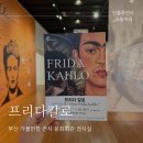고요함 | 혼자 부산 가볼만한전시 문화회관 프리다칼로 전시