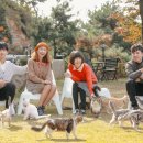 떼껄룩(TAKE A LOOK) 이미지