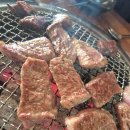 내맘고주례내맘을훔친고기
