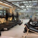 빌리버짐 이미지