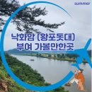 부여 가볼만한곳 낙화암 백마강 유람선(황포돛대) 요금 주차