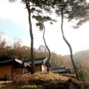 산삼꽃피는마을 이미지