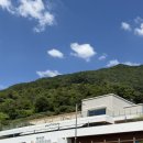 카페숲으로 | [하동 카페] 지리산 뷰 베이커리 카페 하동 「숲속」 내돈내산 후기