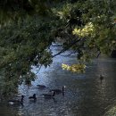 대정읍 신호등식당 북쪽 | [뉴질랜드] 1-2일차: 크라이스트처치 해글리파크, 리버사이드마켓, 식당 후기