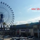 화이트초콜렛