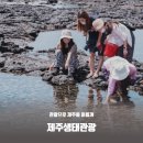 민속관광개발주 이미지