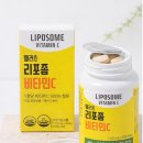 웰러스짐 | 💪 비타민C 메가도스 괜찮을까? 운동하면서 궁금해서 정리해봄