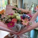 싱싱장구 이미지