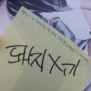 참와이 이미지