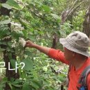 경기둘레길 여주32코스 이미지