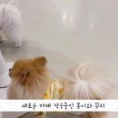 멍화만사성 이미지