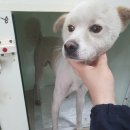 삼덕119안전센터 이미지